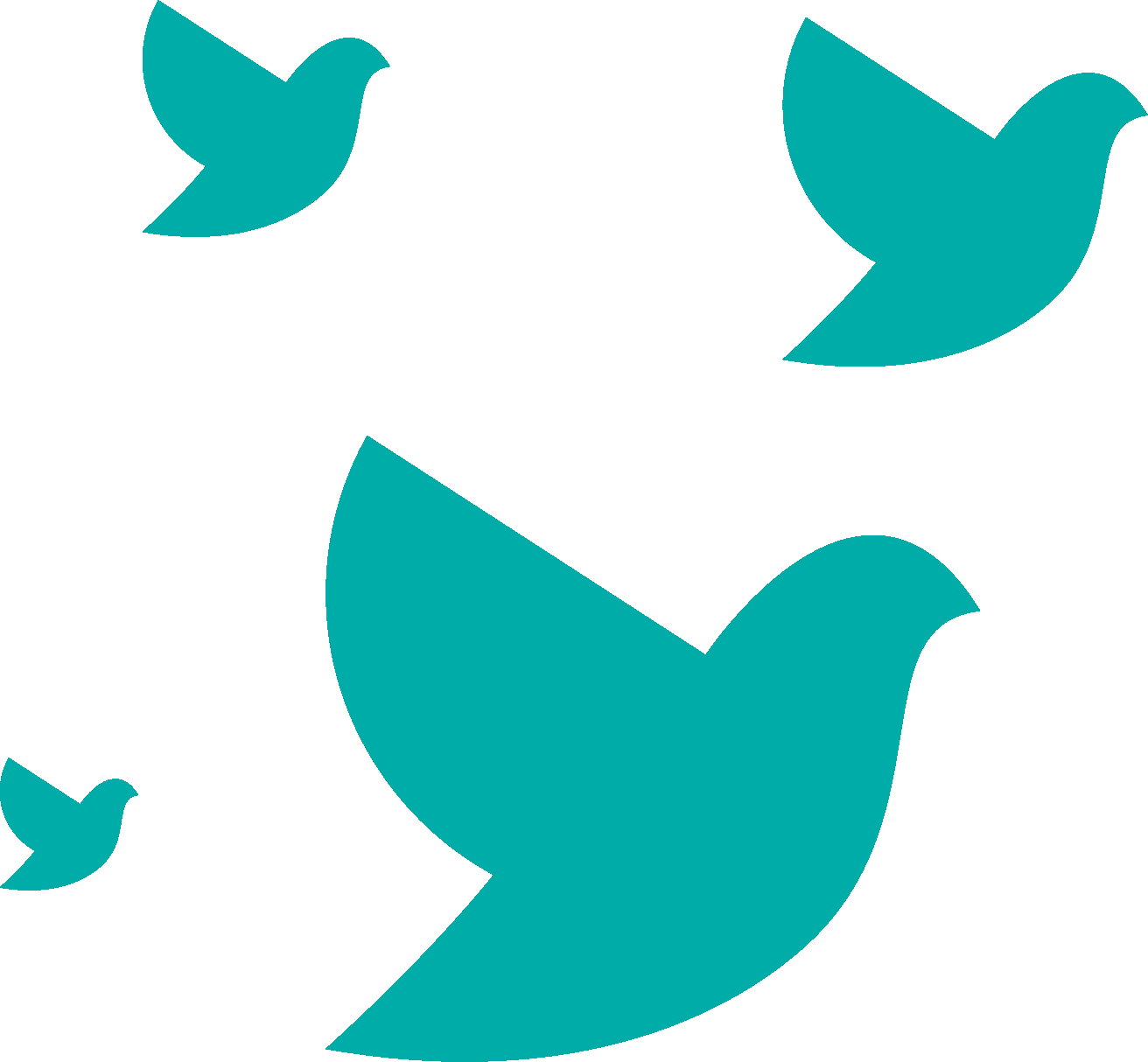 Decorative Birds