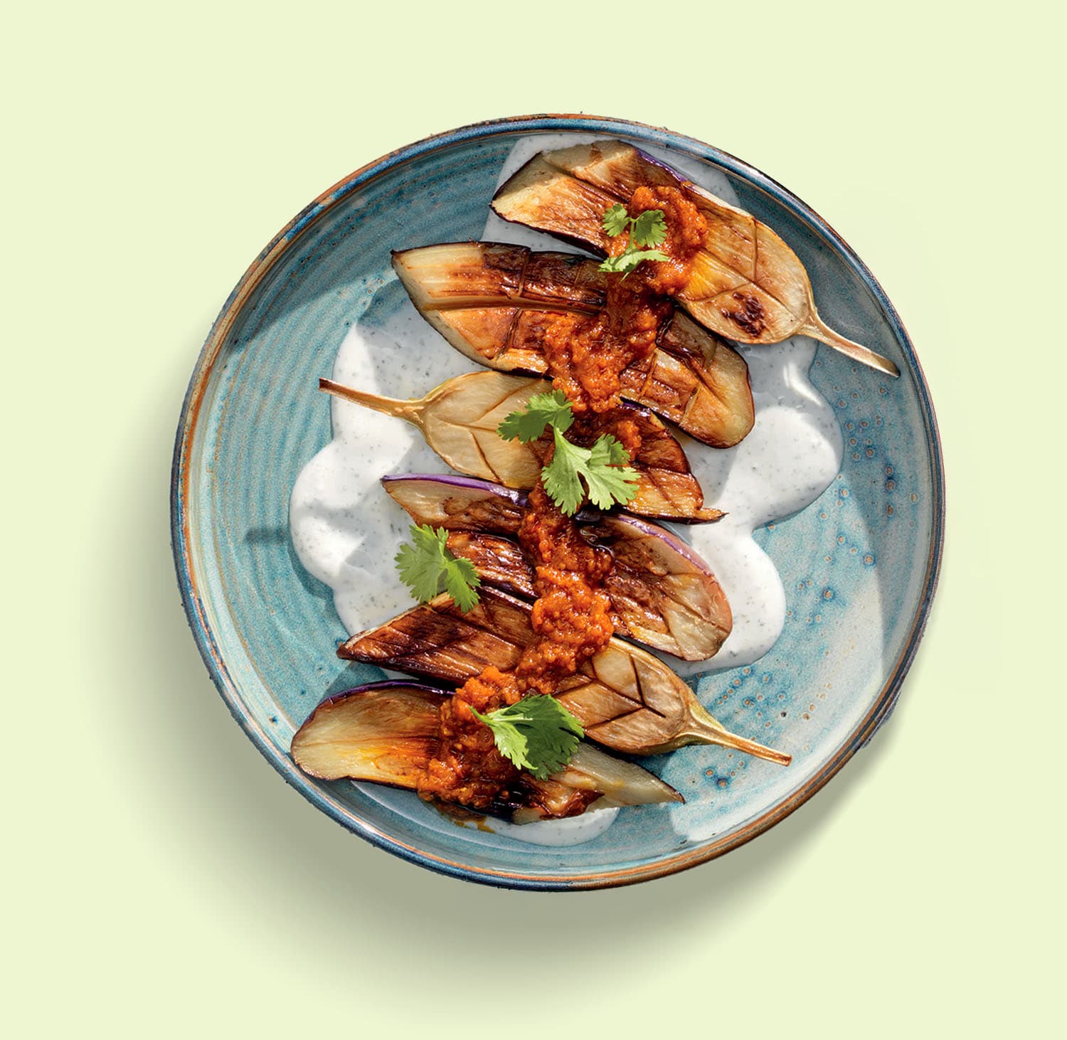 Eggplant borani